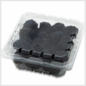 Blackberries Package