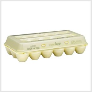 Publix Eggs, Extra Large